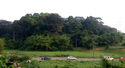 Une forêt dense en plein coeur d&#039;Abidjan !
