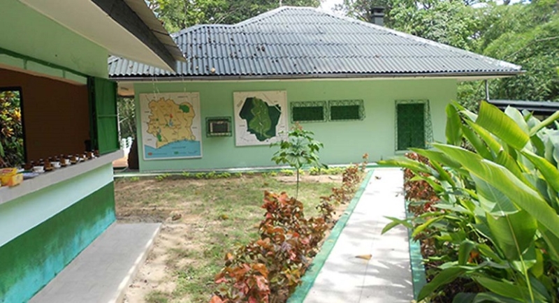 La maison de la nature