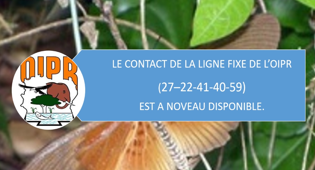 Le contact de la  ligne fixe de l&#039;OIPR